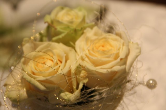 hochzeit47.jpg