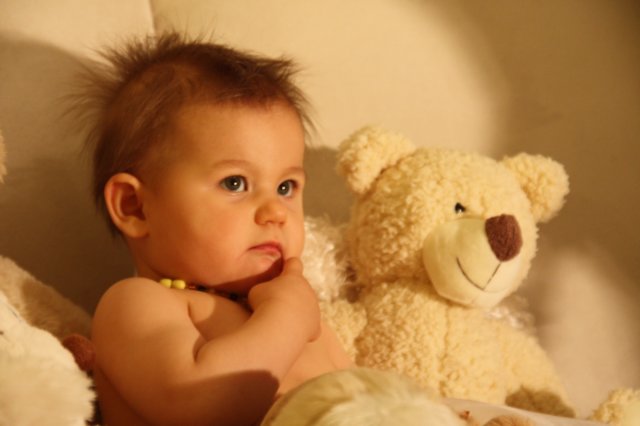 teddyland2.jpg