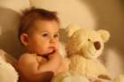 teddyland2_small.jpg