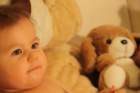 teddyland_small.jpg